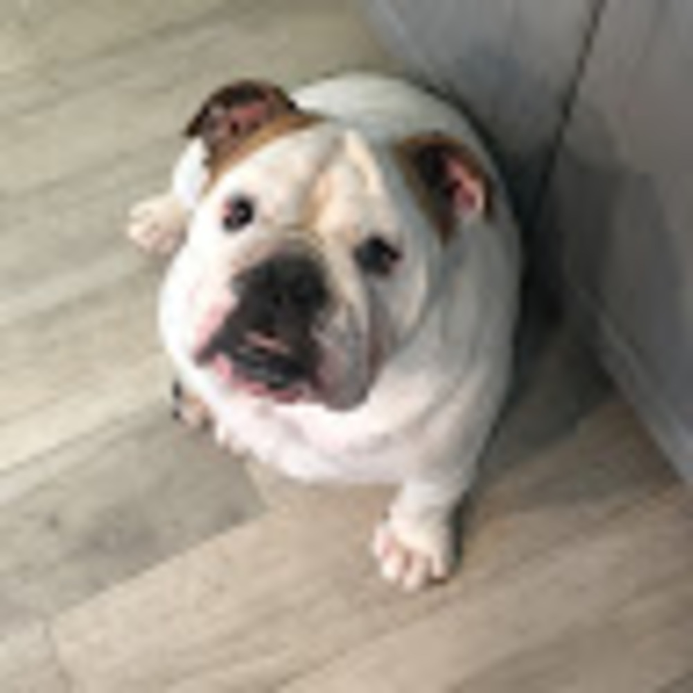 Meet your Posher, Myrna